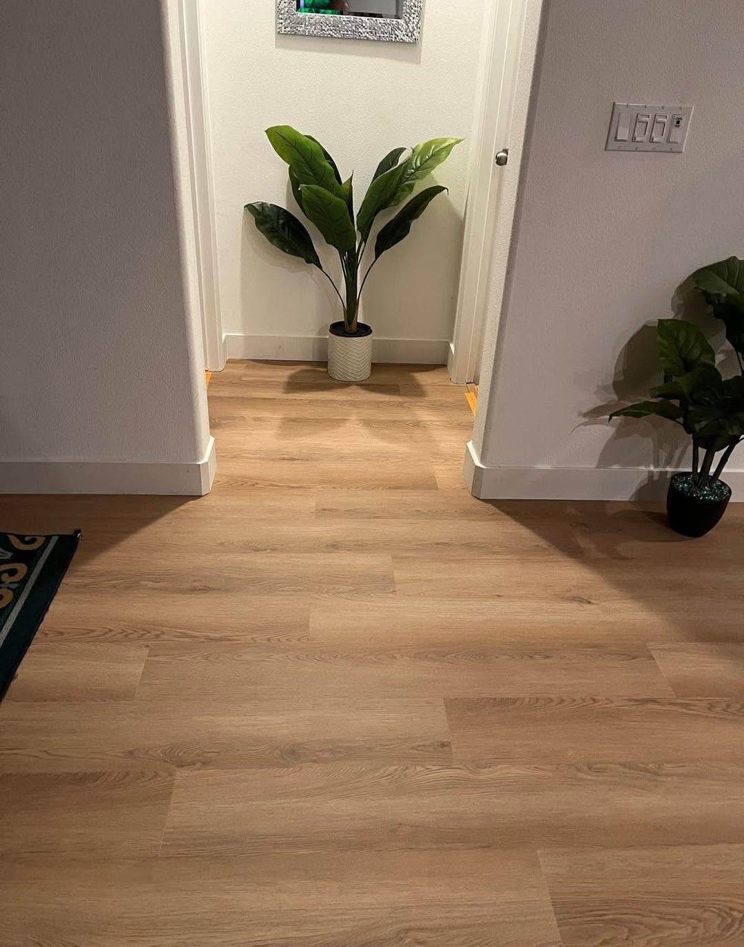 Luxury Vinyl Plank — Bristol, TN